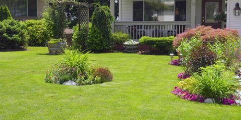 Landscaping and Drain Field Protection for Septic System Maintenance