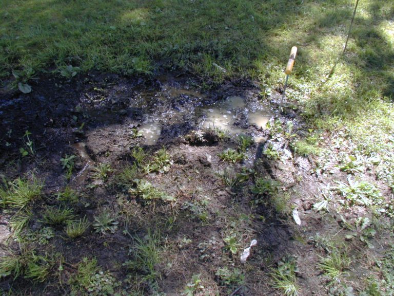 Drain Field Failure and Saturation in Septic Systems