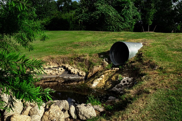 Waste Disposal Practices for Septic System Maintenance